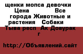 щенки мопса девочки › Цена ­ 25 000 - Все города Животные и растения » Собаки   . Тыва респ.,Ак-Довурак г.